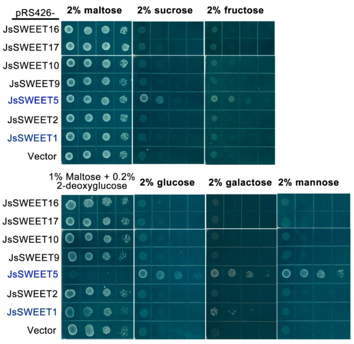 Figure 6