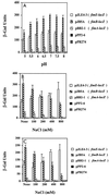 FIG. 1.
