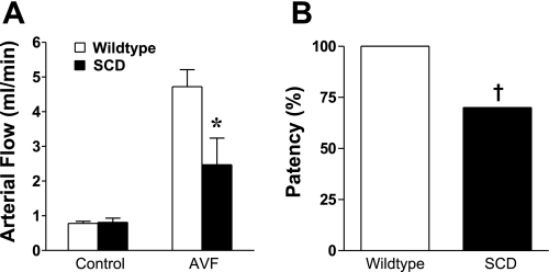 Fig. 10.