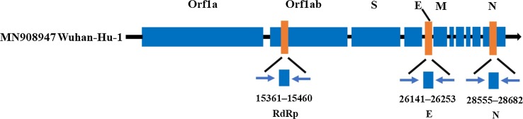 Fig. 1