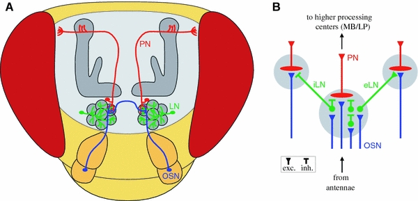 Fig. 2