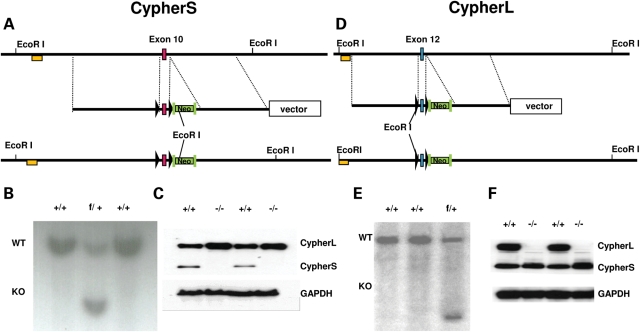 Figure 1.