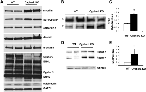 Figure 7.