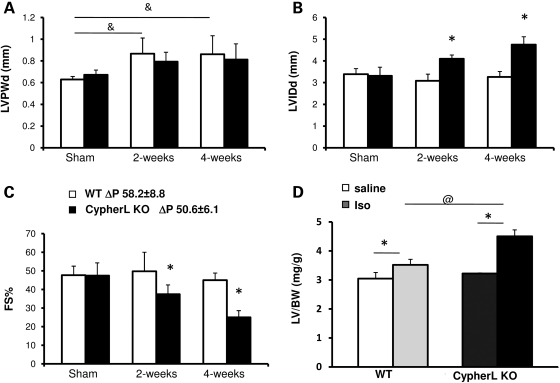 Figure 4.