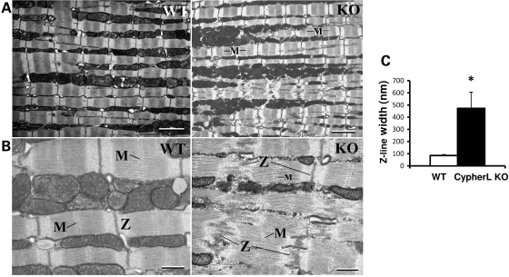 Figure 6.