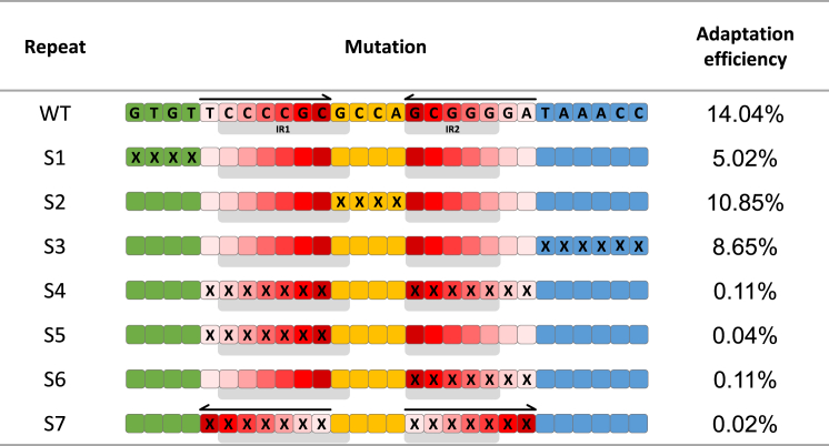 Figure 1