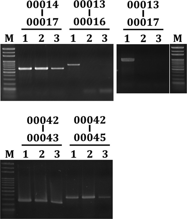 FIG 5