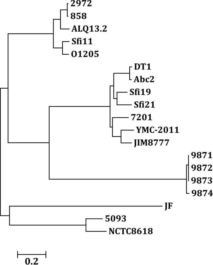 FIG 2