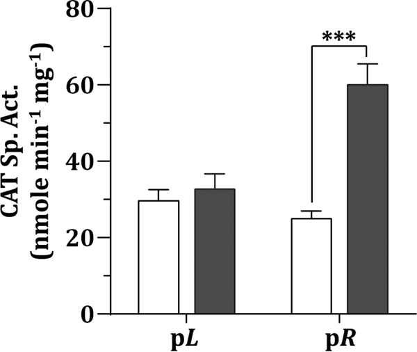 FIG 6