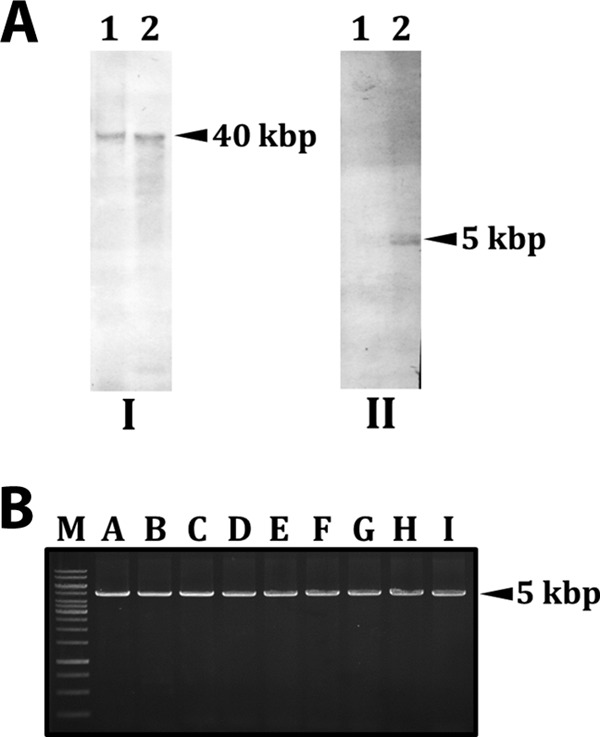 FIG 3