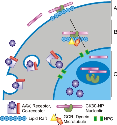 Figure 2.