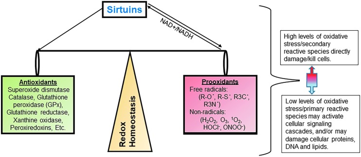 FIG. 5.