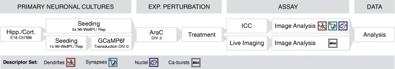 Fig. 1