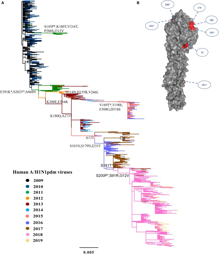 FIGURE 2