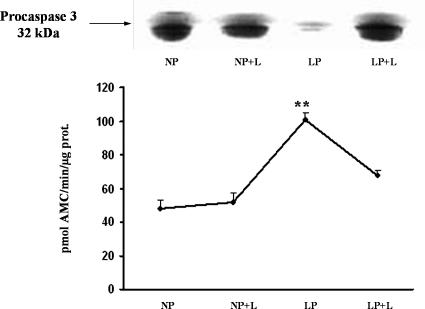 Fig 10.