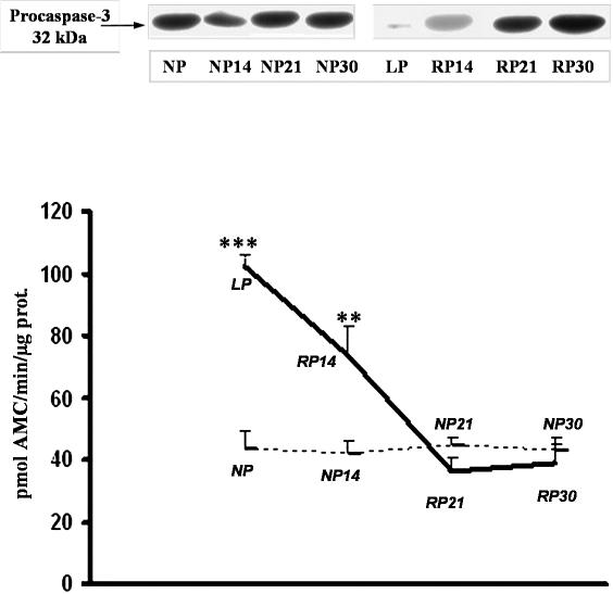 Fig 9.