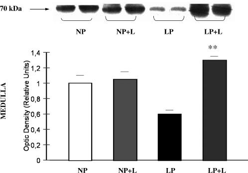 Fig 8.