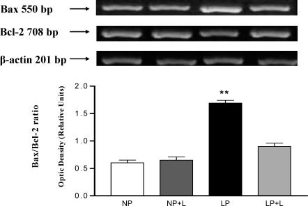 Fig 12.