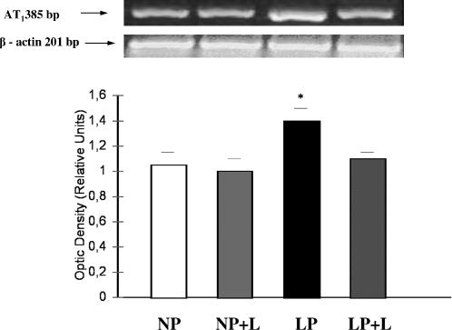 Fig 2.