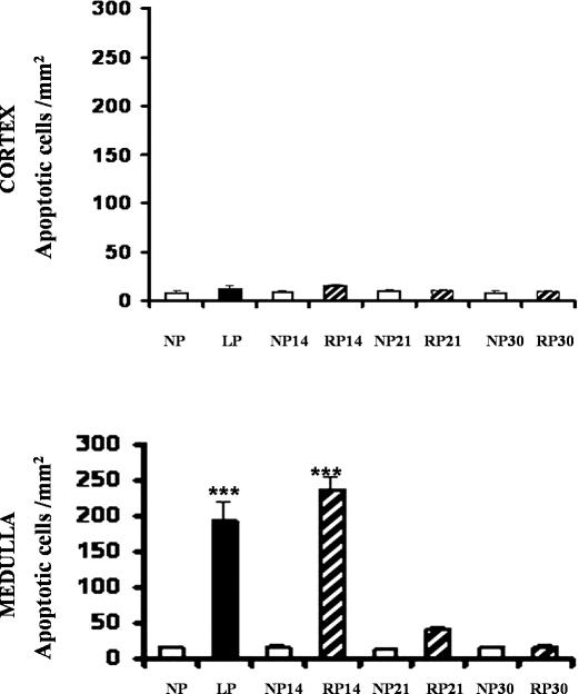 Fig 3.