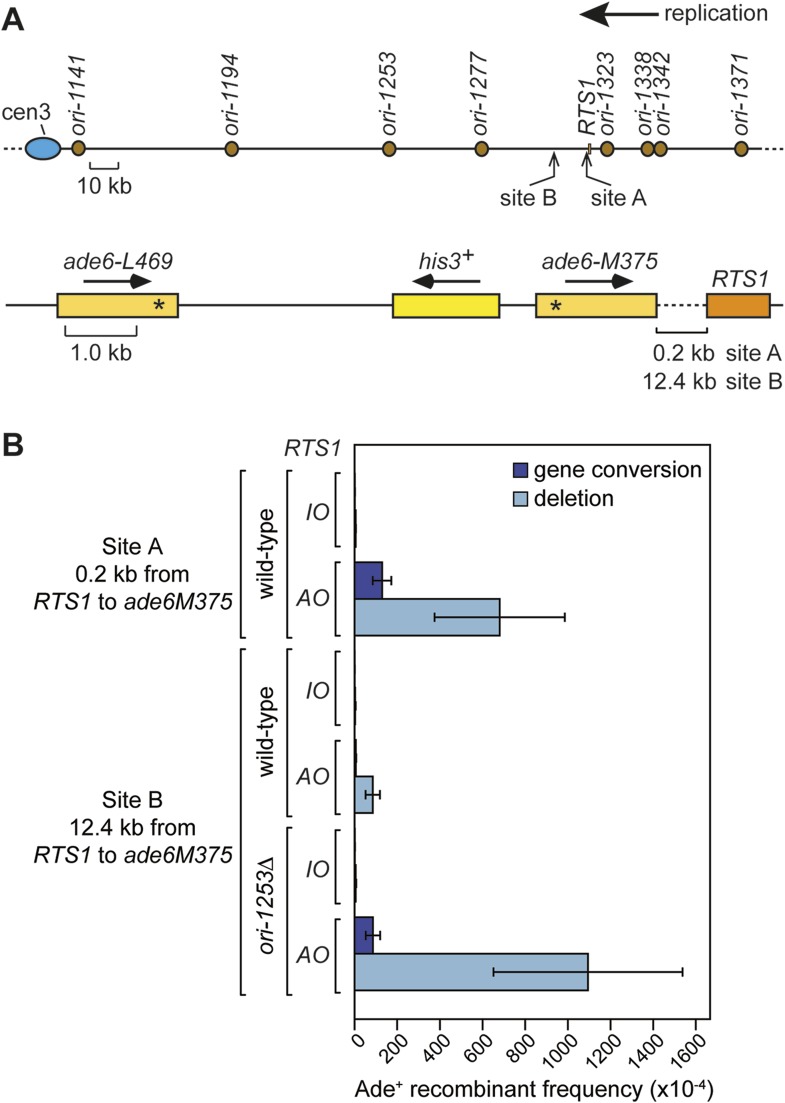 Figure 7.