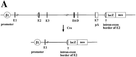 graphic file with name cdd361f1a.jpg