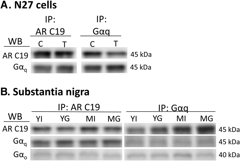 Figure 7.