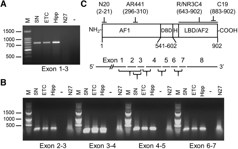 Figure 6.