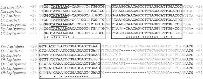 Figure 3.—