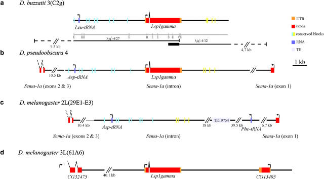 Figure 2.—