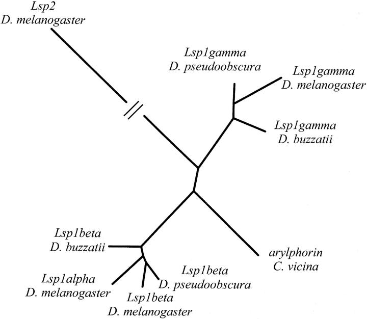 Figure 4.—