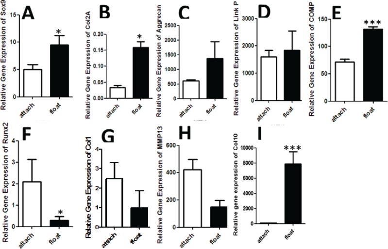 Fig. 2: