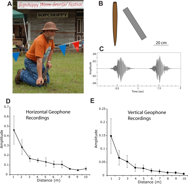 Worm Grunting, Fiddling, and Charming—Humans Unknowingly Mimic a ...