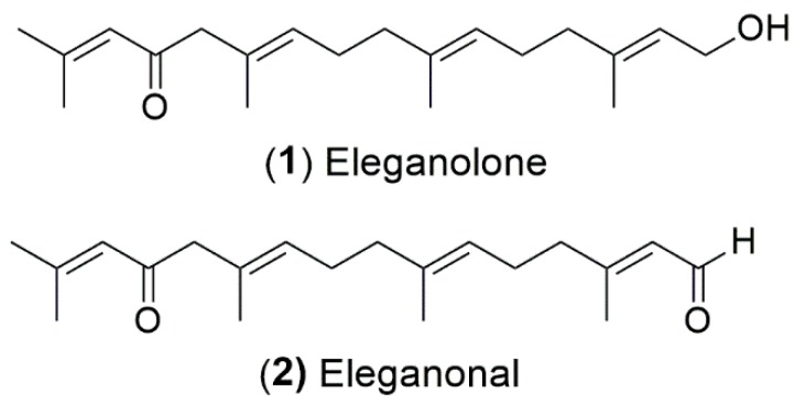 Figure 8