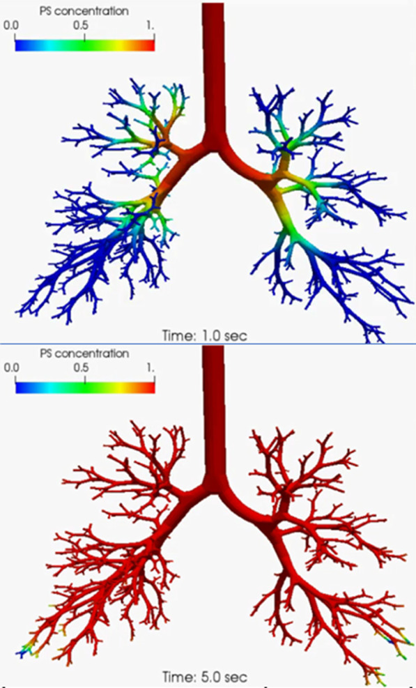 Fig. 2