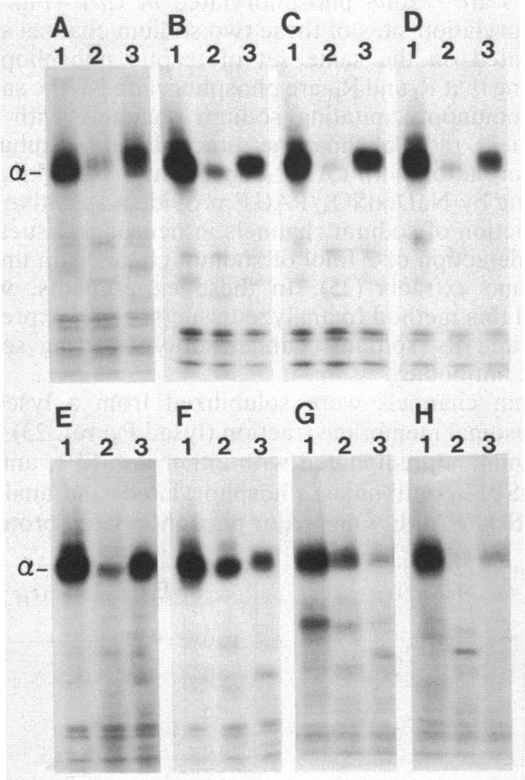 graphic file with name pnas00338-0519-a.jpg