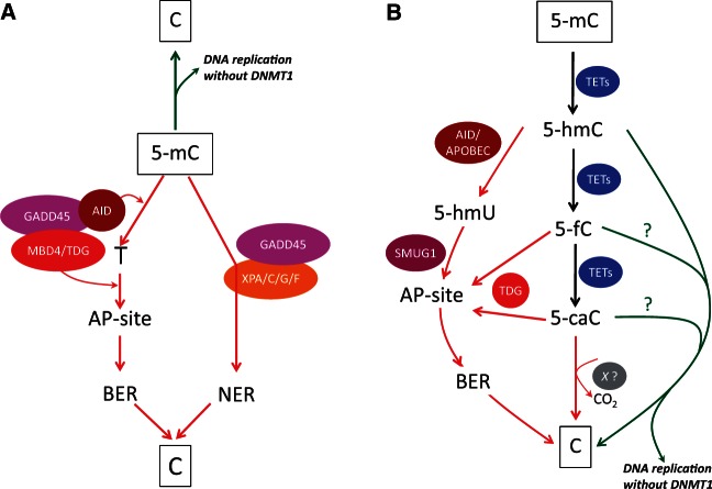 Figure 1: