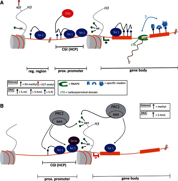 Figure 2: