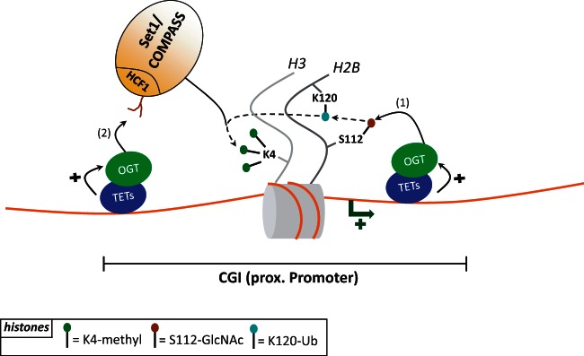 Figure 3: