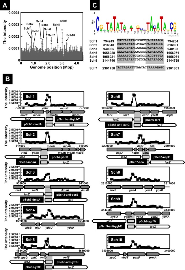 Fig 1