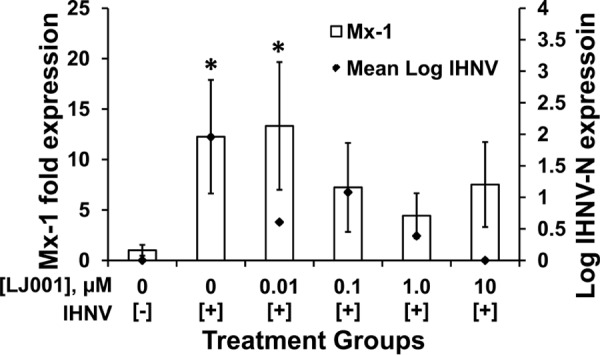 FIG 6