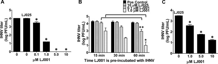 FIG 2