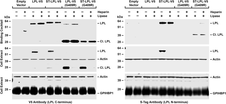 Figure 2.