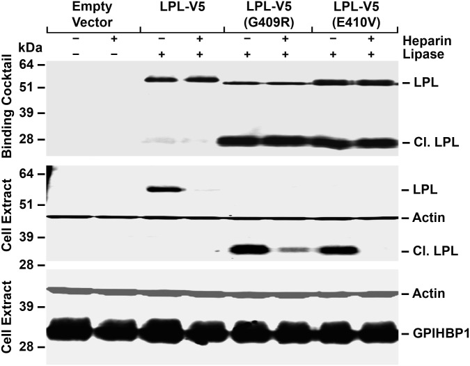 Figure 1.