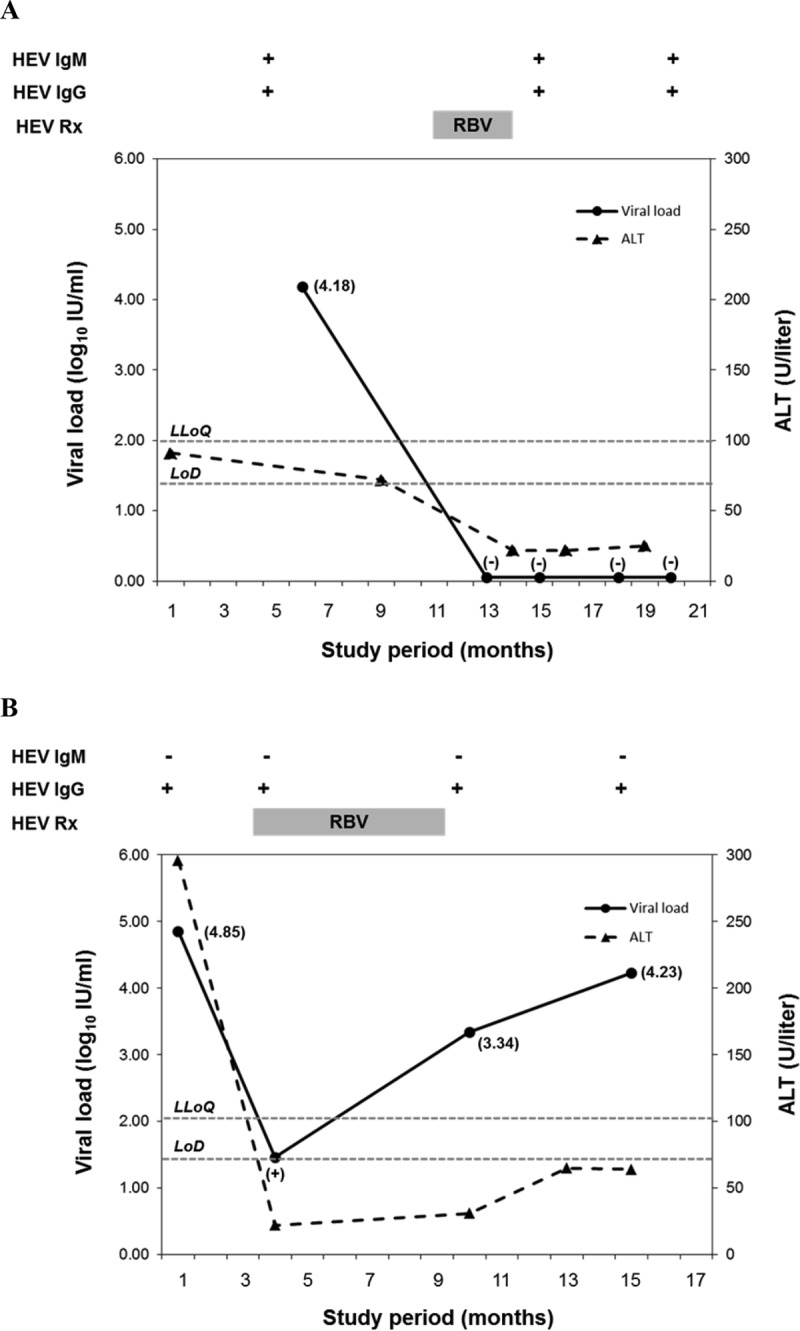 Hepatitis E Virus (HEV) Detection and Quantification by a Real-Time ...