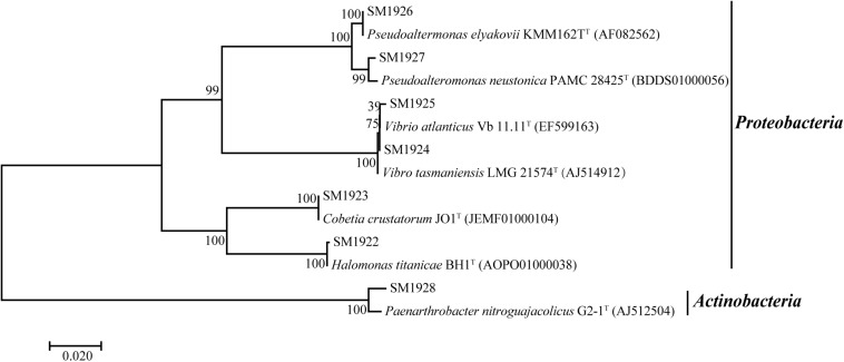 FIGURE 2