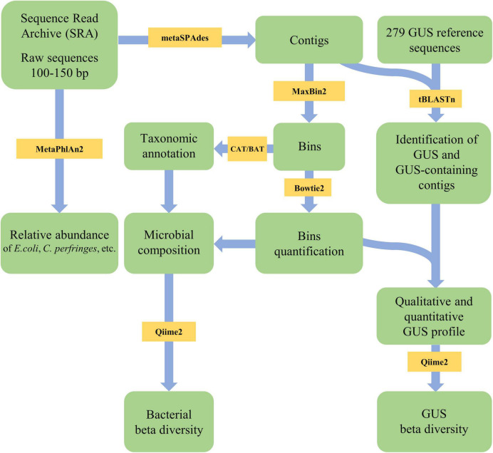 FIGURE 1