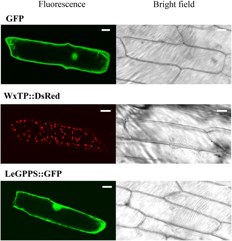 Figure 3.