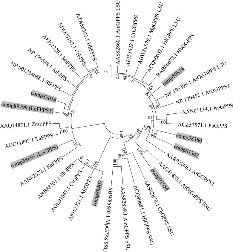 Figure 5.