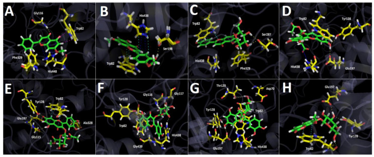 Figure 6